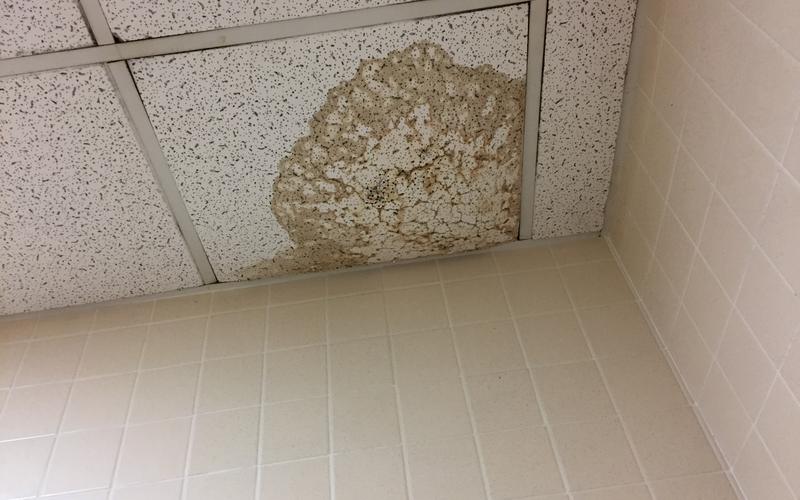Water-stained ceiling tile above a tiled wall
